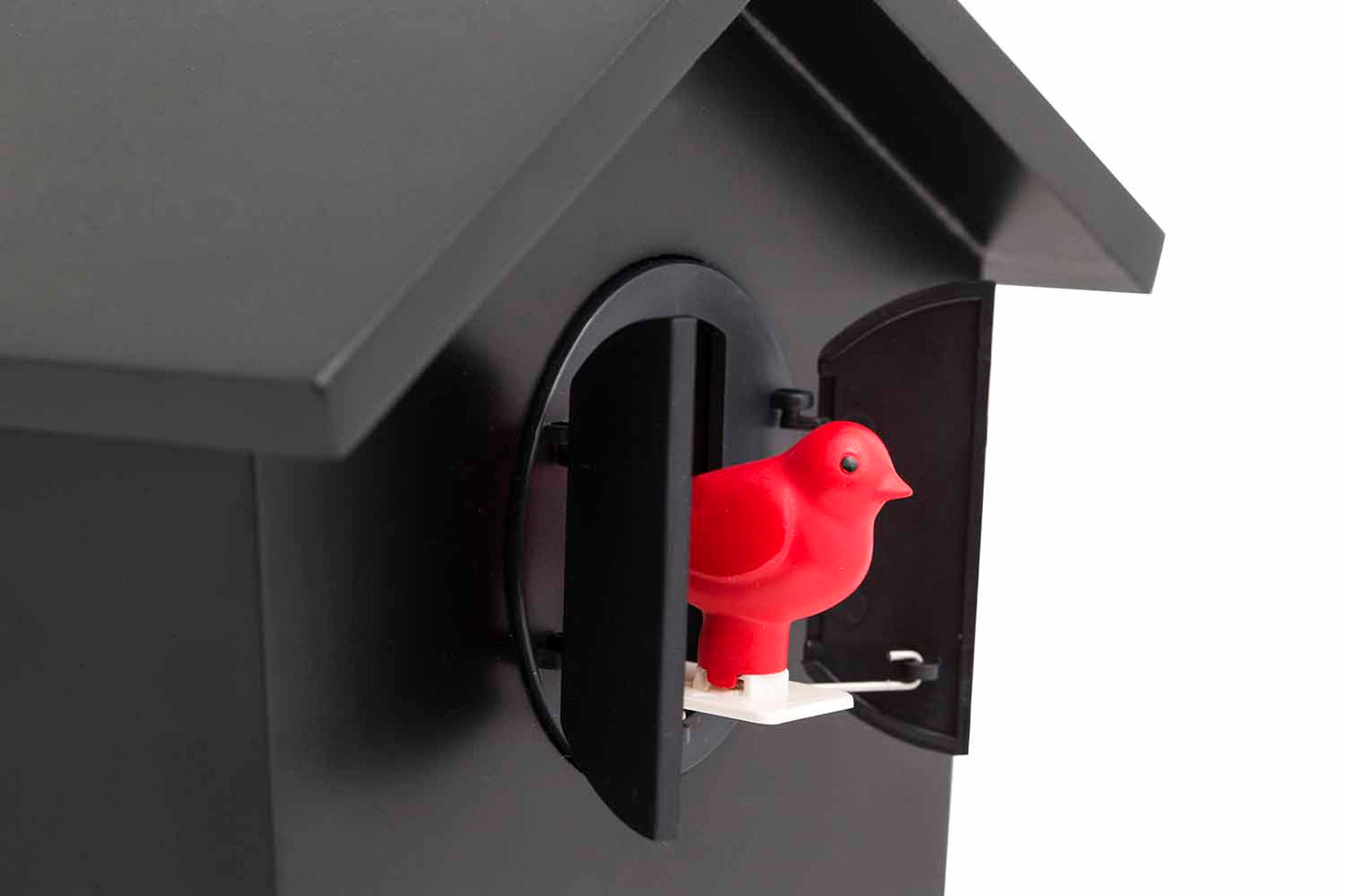 Elegant kukur - BirdHouse®